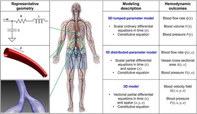 Insights from computational modeling on the potential hemodynamic effects of sinus rhythm versus atrial fibrillation